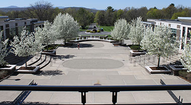 view of campus with blooming trees